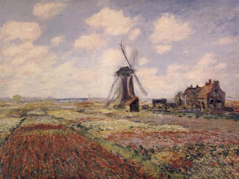 A Field of Tulips in Holland, Claude Monet